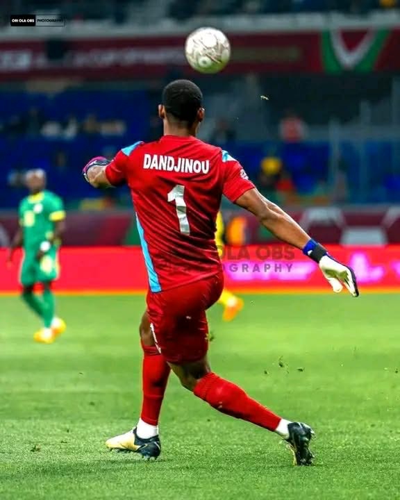 LES GUÉPARDS SONT DE RETOUR À COTONOU !