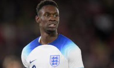 origines de Folarin Balogun