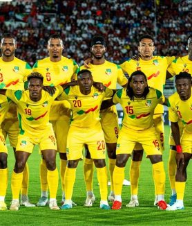 Les Guépards du Bénin